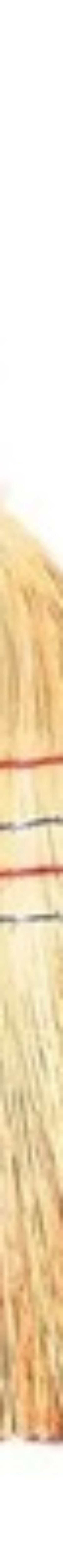 Escoba De Paja Artesanal, 6 Hilos!!
